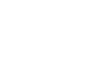 Vip Araç